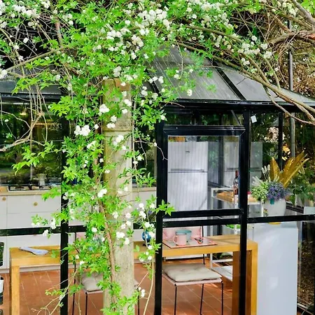 Bed & Breakfast Il Rossignolo Grassina