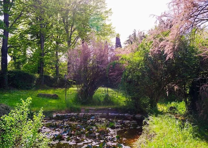 Il Rossignolo B&B