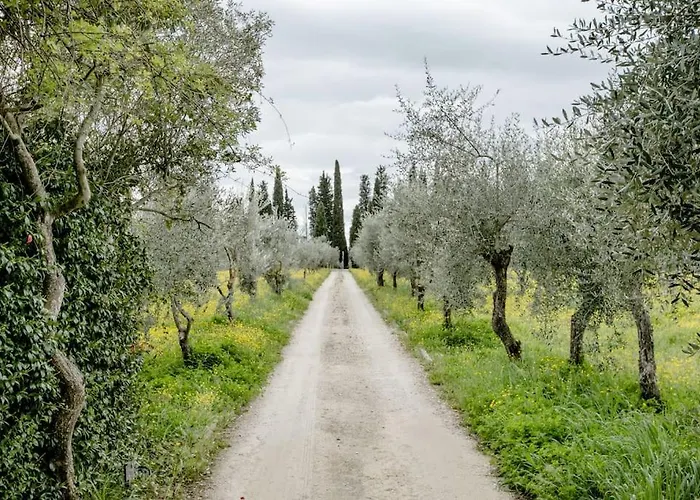 Il Rossignolo B&B 그라시나